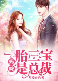 一胎三宝:妈咪是总裁