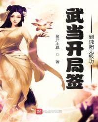 武当开局签到纯阳无极功