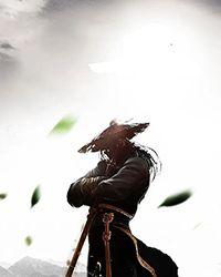 琅琊榜之风起长林（全二册）